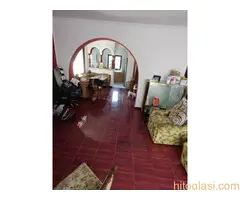 Hitna prodaja!Porodične kuce-kula vojvodina - 3