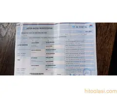 Nemacki ovcar stenad - 5