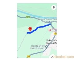 Pakovraće-Čačak 11 ari placa pored asfaltnog puta - 5