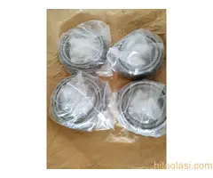 Valjkasti lezajevi - 3