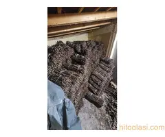 Isečena Loza 1 KLASE za Kalemljenje - 2