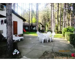 Odmor na Dunavu u borovoj šumi, povoljno - 3