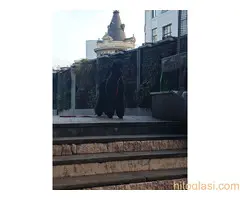 ŠAMPIONSKO LEGLO: Crne Standardne Pudle vrhunskog ranga - 3