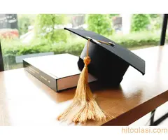 Maturski radovi za srednje škole i gimnazije - Profesionalno