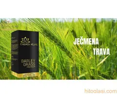 Barley Grass Premium – Ječmena trava - 2