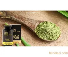 Barley Grass Premium – Ječmena trava - 4