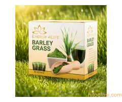 Barley Grass – Kesice