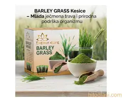 Barley Grass – Kesice