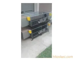 Kavezi  za koke, pilice i zeceve