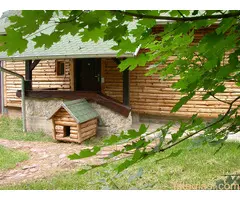 Prodajem planinsku vikend kuću u Sisevcu - 3