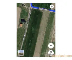 Placevi u Bečmenu u ulici Đure Jakšića
