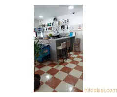 Potrebne radnice, Caffe Enigma - 2