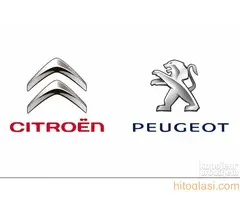 Prodaja polovnih delova za Citroena i Pežoa