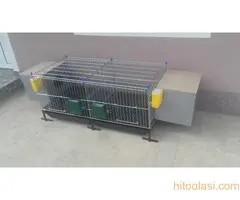 Kavezi za koke - kavezi za pilice - kavezi za zeceve - 4