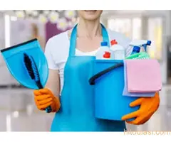 Tražimo ženu za pomoć u kuću  i čuvanje kućnih ljubimaca